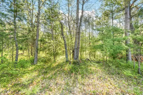 V/l Nelson St, Baldwin, MI 49304 photo 7