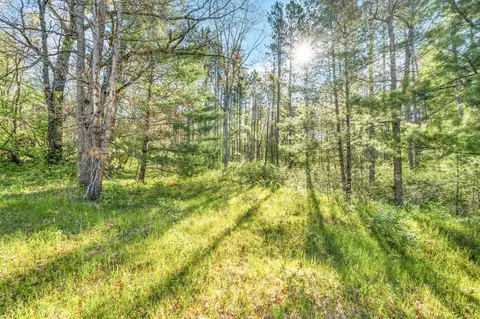 V/l Nelson St, Baldwin, MI 49304 photo 6