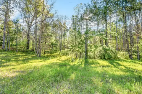 V/l Nelson St, Baldwin, MI 49304 photo 5