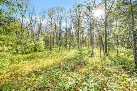 V/l Nelson St, Baldwin, MI 49304 photo 8