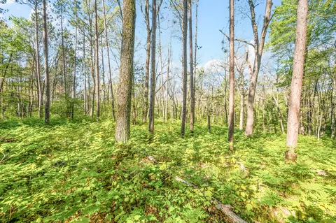 V/l Nelson St, Baldwin, MI 49304 photo 3