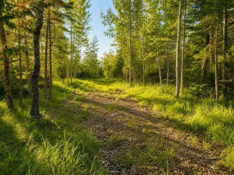 701 Us 2, Germfask, MI 49836 photo 27