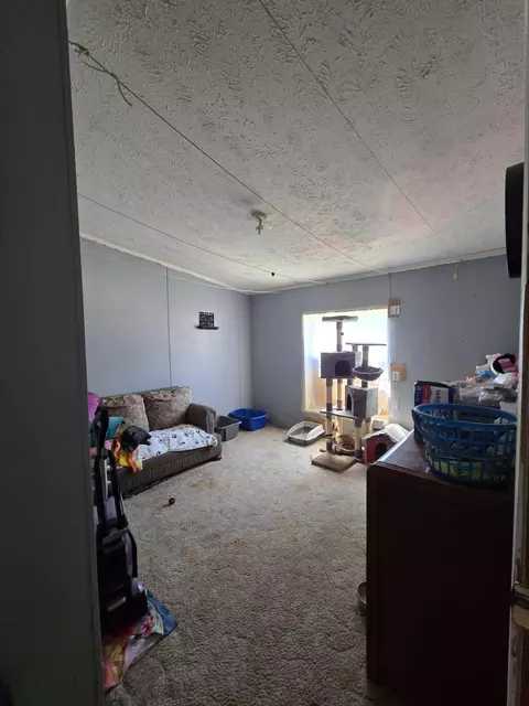 3384 E 56th St, Chase, MI 49623 photo 34