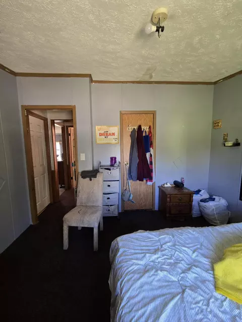 3384 E 56th St, Chase, MI 49623 photo 37