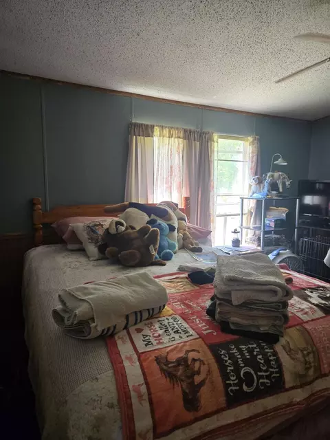 3384 E 56th St, Chase, MI 49623 photo 61