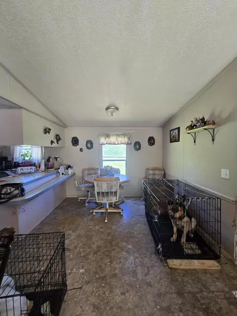 3384 E 56th St, Chase, MI 49623 photo 51