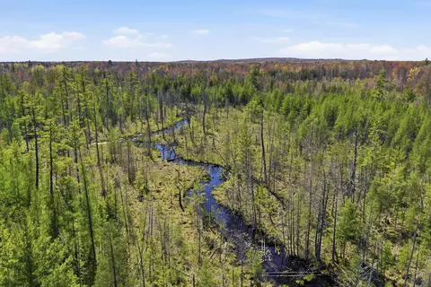 5500 N Croswell Ave, White Cloud, MI 49349