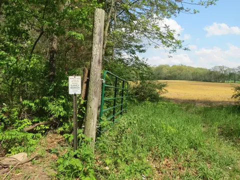 giles road, Brooklyn, MI 49230