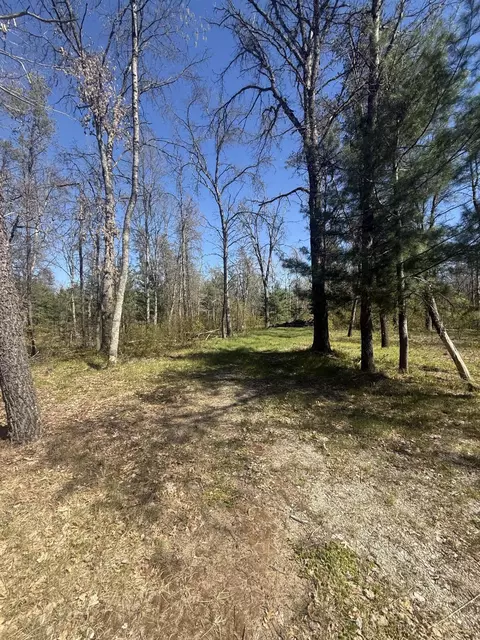 4097 S Michway Rd, Baldwin, MI 49304