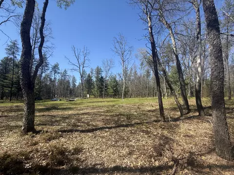 4097 S Michway Rd, Baldwin, MI 49304 photo 3
