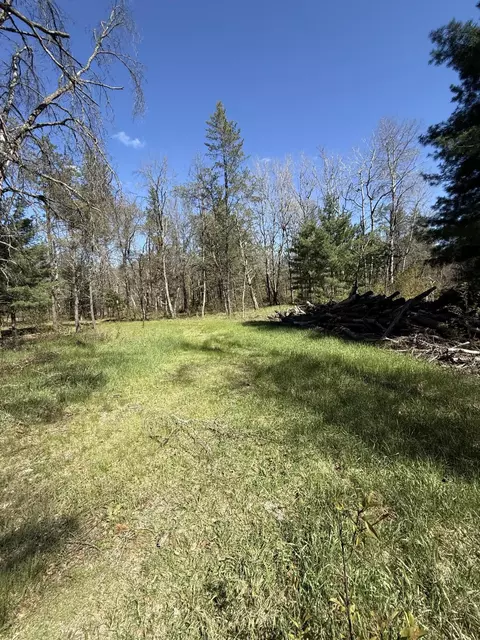 4097 S Michway Rd, Baldwin, MI 49304 photo 12