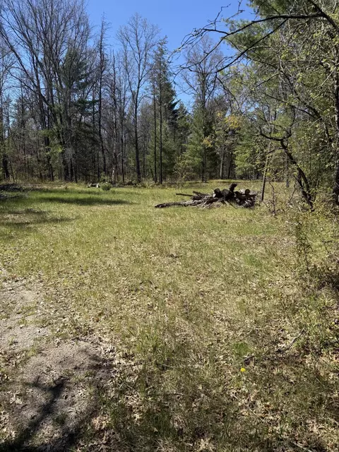 4097 S Michway Rd, Baldwin, MI 49304 photo 17