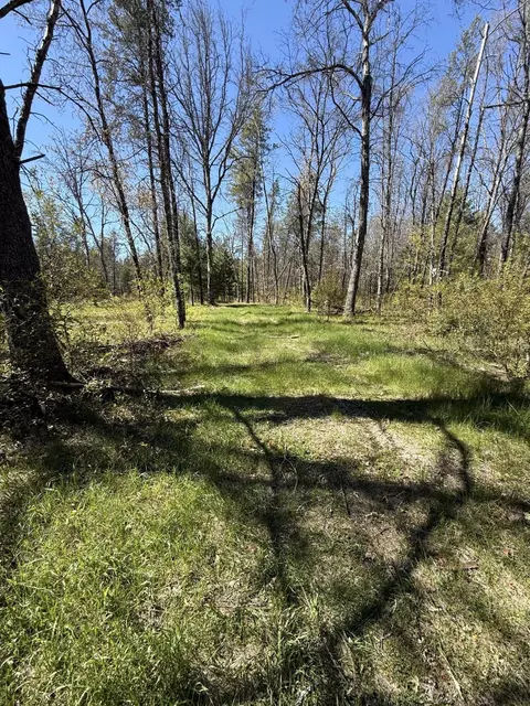 4097 S Michway Rd, Baldwin, MI 49304 photo 11