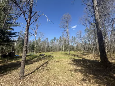 4097 S Michway Rd, Baldwin, MI 49304 photo 4