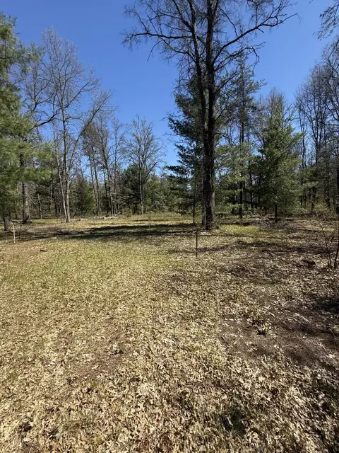 4097 S Michway Rd, Baldwin, MI 49304 photo 15