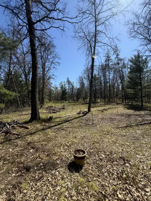 4097 S Michway Rd, Baldwin, MI 49304 photo 19