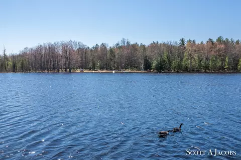 View/Area - 1125 Chaput Dr, Sears, MI 49679 photo 3 of 50
