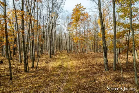 Other - 1125 Chaput Dr, Sears, MI 49679 photo 42 of 49