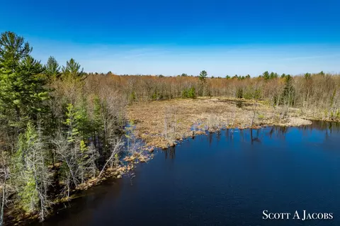 View/Area - 1125 Chaput Dr, Sears, MI 49679 photo 18 of 50