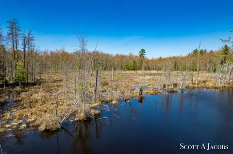 View/Area - 1125 Chaput Dr, Sears, MI 49679 photo 25 of 50