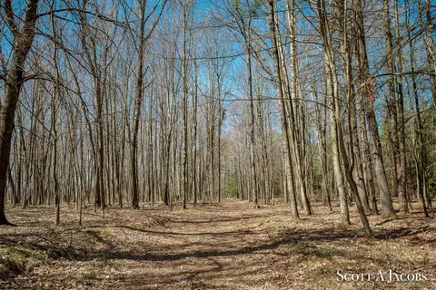 Other - 1125 Chaput Dr, Sears, MI 49679 photo 15 of 49