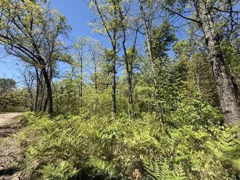 Parcel C Usfs 5196, Baldwin, MI 49304 photo 3
