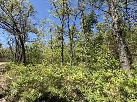 Parcel C Usfs 5196, Baldwin, MI 49304 photo 2