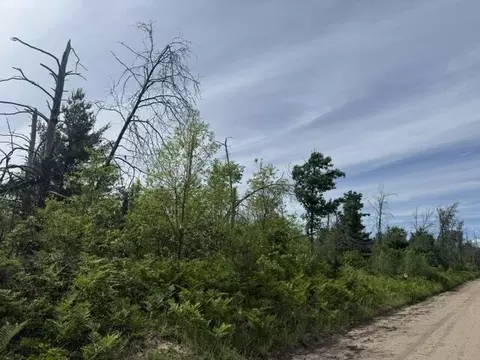 Parcel 3 Nelson Road, Idlewild, MI 49642