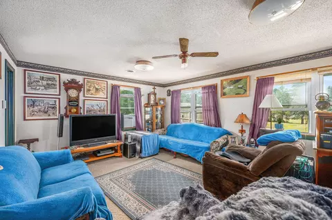 Living - 14450 Wing Rd, Bellevue, MI 49021 photo 2 of 2