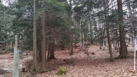S Sable Pointe Drive, Shelby, MI 49455