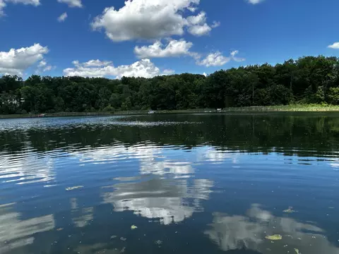 6670 Tower Lake Rd NE, Belding, MI 48809