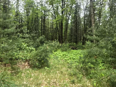 2709 S Jenny Cir, Chase, MI 49623