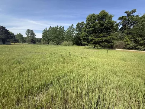w royal road, Stanwood, MI 49346