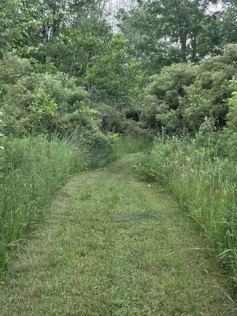 Other - 13799 8th Ave, Marne, MI 49435 photo 3 of 3