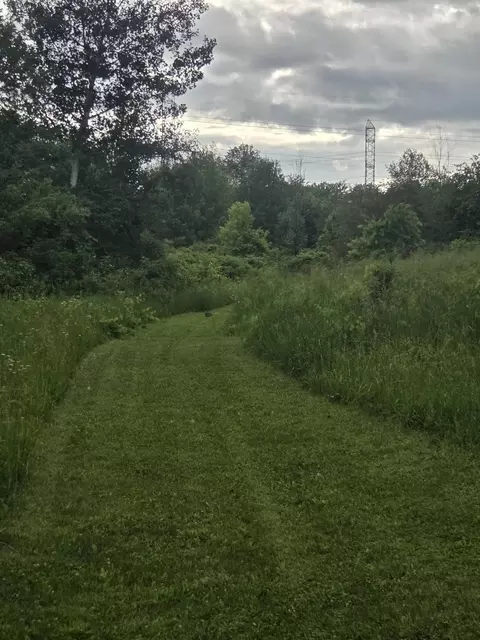 Other - 13799 8th Ave, Marne, MI 49435 photo 2 of 3