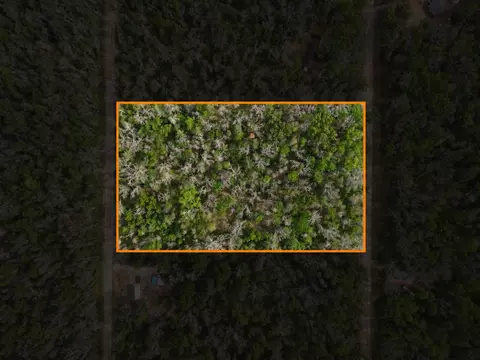 Dorsey Drive, Baldwin, MI 49304
