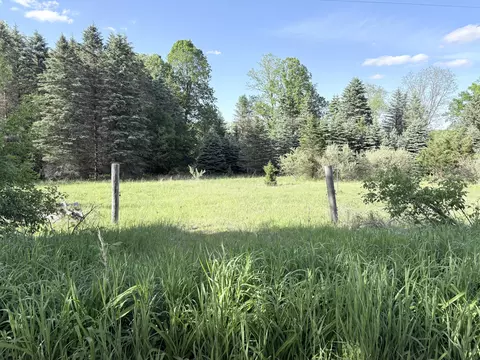 W Riverside Drive, Ionia, MI 48846