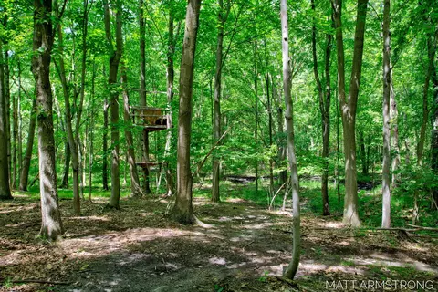 Exterior - 2135 Hilltop View Dr, Dorr, MI 49323 photo 12 of 12