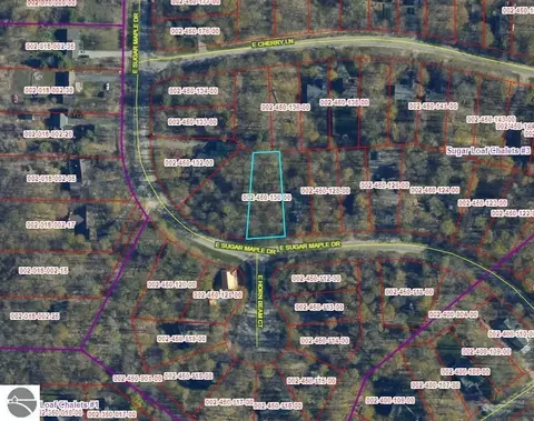 lot130 E Sugar Maple Dr, Cedar, MI 49621 photo 4