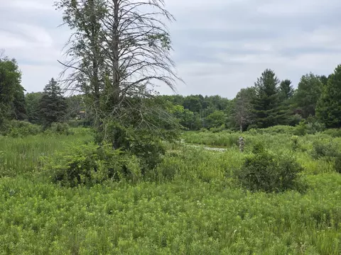 6172 Lake Rd, Barryton, MI 49305