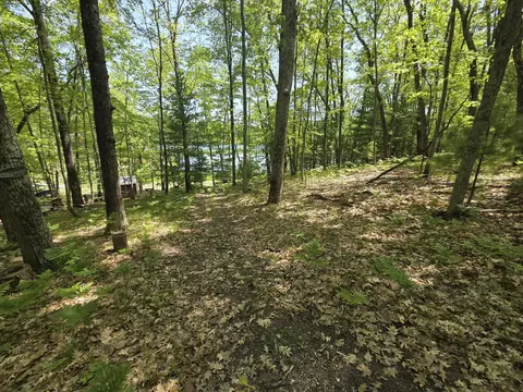 9312-9334 W Ox Path St, Baldwin, MI 49304 photo 4