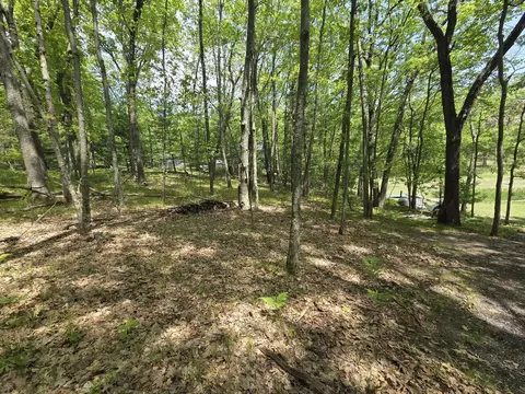9312-9334 W Ox Path St, Baldwin, MI 49304 photo 5