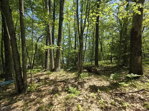 9312-9334 W Ox Path St, Baldwin, MI 49304 photo 27