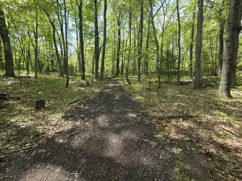 9312-9334 W Ox Path St, Baldwin, MI 49304 photo 6