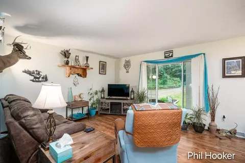 Living - 5797 Ivan Rd, Saranac, MI 48881 photo 2 of 2