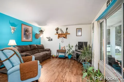 Living - 5797 Ivan Rd, Saranac, MI 48881 photo 1 of 2