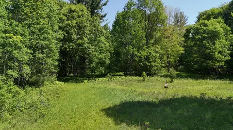 Dickson Road, Brethren, MI 49619 photo 4