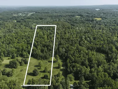 Dickson Road, Brethren, MI 49619 photo 2