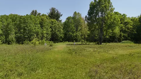 Dickson Road, Brethren, MI 49619 photo 7