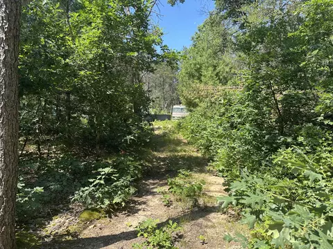 6667 S Dillard St, Baldwin, MI 49304 photo 6